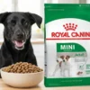 adulto-mini Alimento royal canin para perros adultos de raza mini