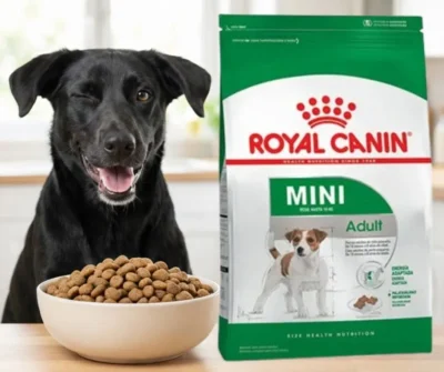 Alimento royal canin para perros adultos de raza mini