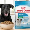 Alimento Royal Canin Puppy para cachorros de razas pequeñas