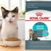 Alimento para gatos esterilizados Royal Canin urinary