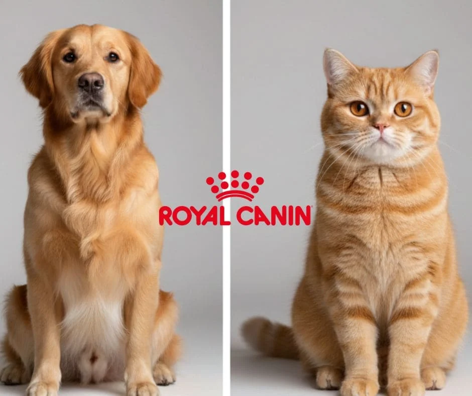 Artículos para Mascotas, Quincho y Jardín