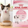 Alimento royal canin para gatitos