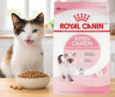 Alimento royal canin para gatitos