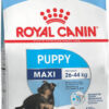 ROYAL CANIN MAXI JUNIOR