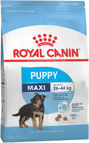 ROYAL CANIN MAXI JUNIOR