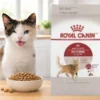 royal-canin-fit Alimento royal canin fit para gatos adultos