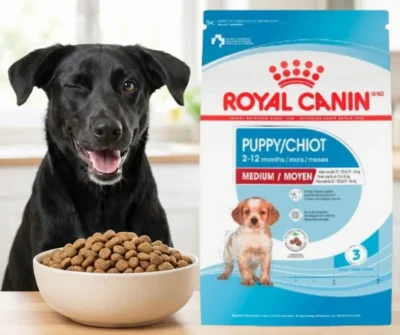 Alimento royal canin para cachorros de raza mediana