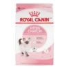 Bolsa de 7.5 kg de alimento para gatitos royal canin