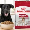 alimento royal canin para perros de raza mediana