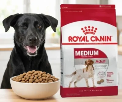 alimento royal canin para perros de raza mediana