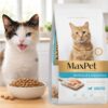 maxpet gatos