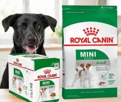 Combo Royal Canin Mini Adult bolsa 7,5 kg y caja pouch x12 unidades 85g