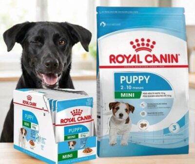Combo Royal Canin Mini Puppy bolsa 7,5 kg y caja pouch x12 unidades 85g